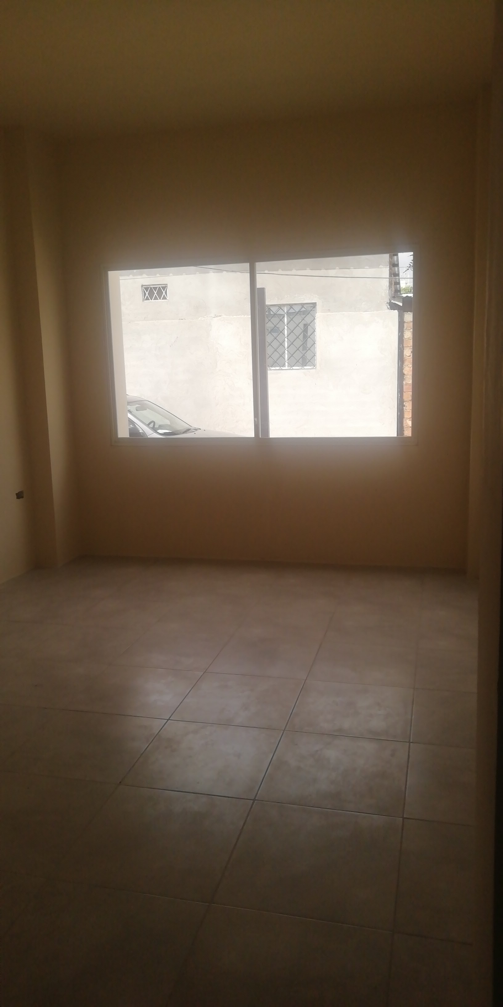 Imagen 11