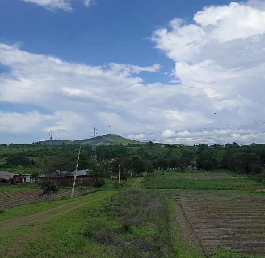 Vista 2