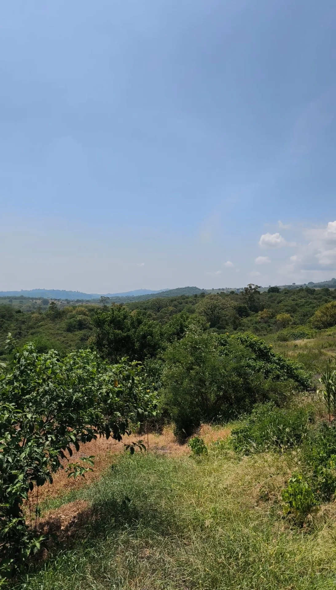 Vista 2