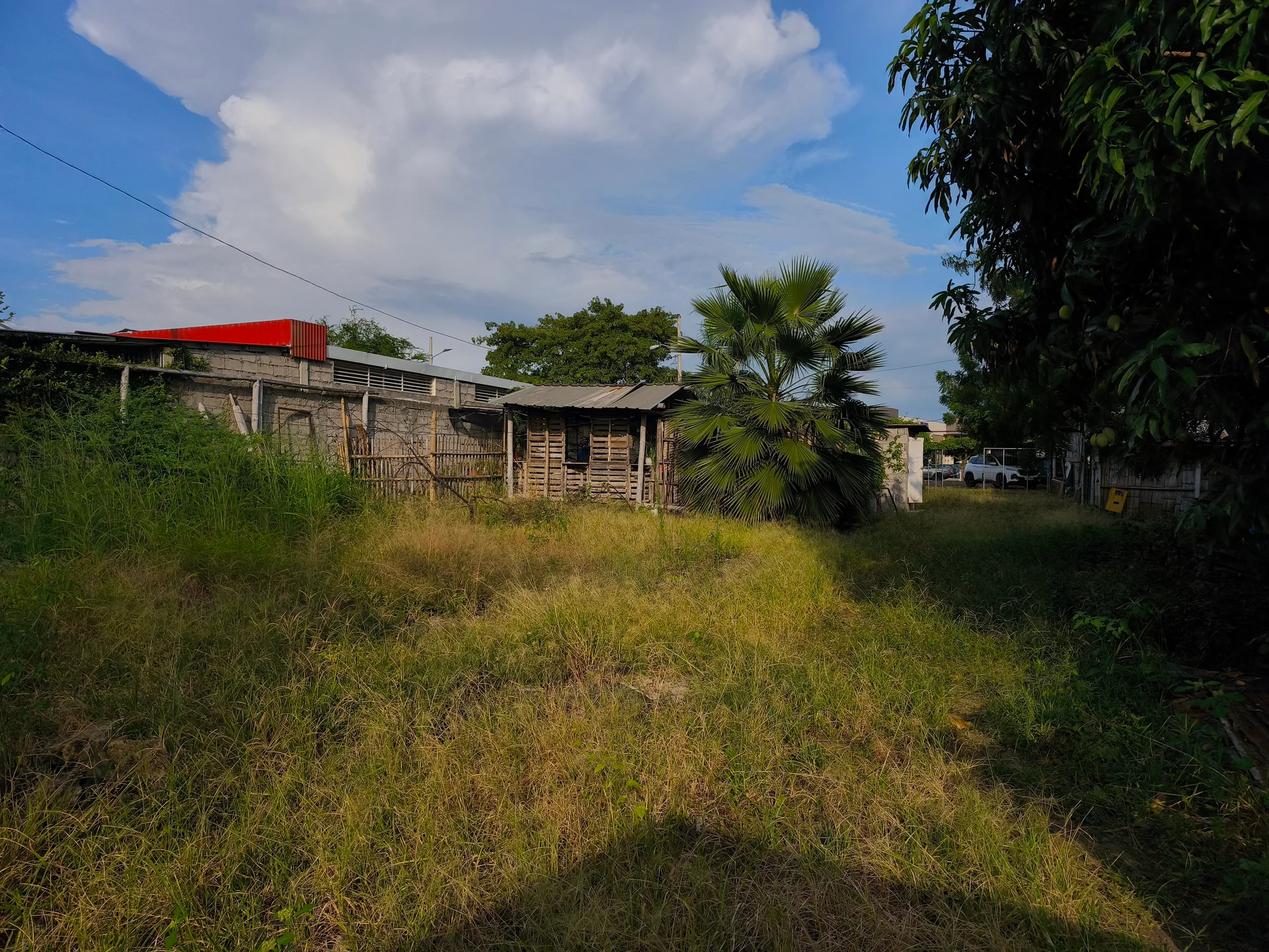 Vista 2