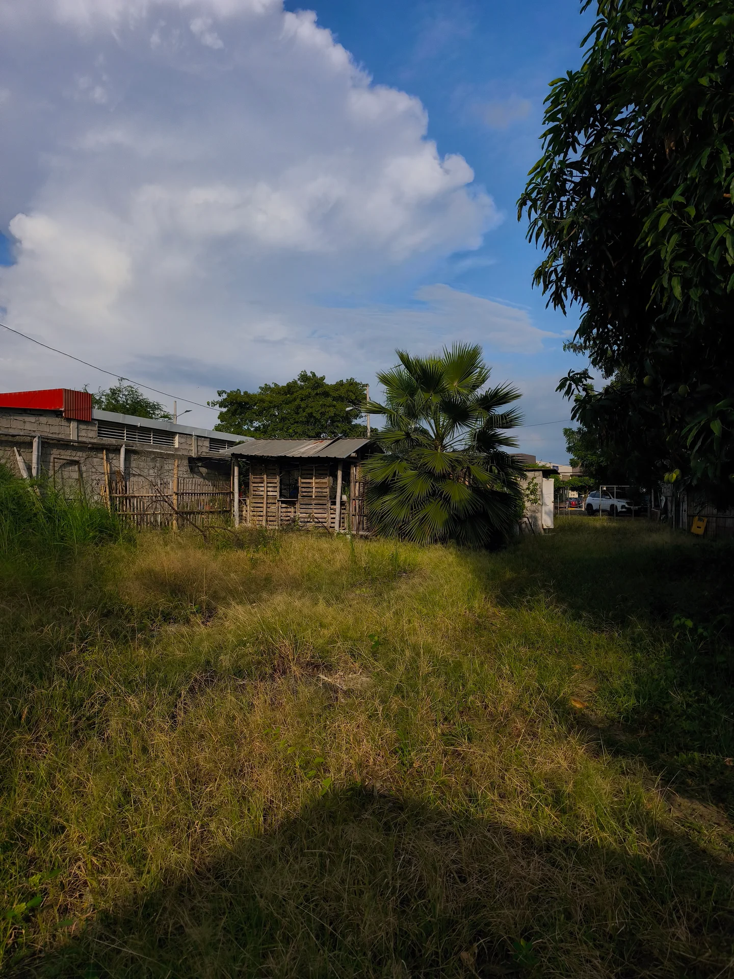 Vista 3