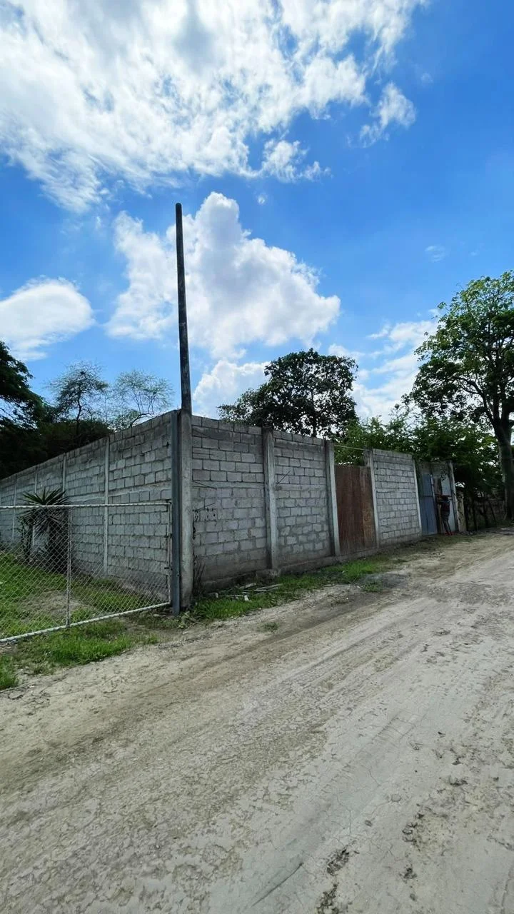 Imagen 11