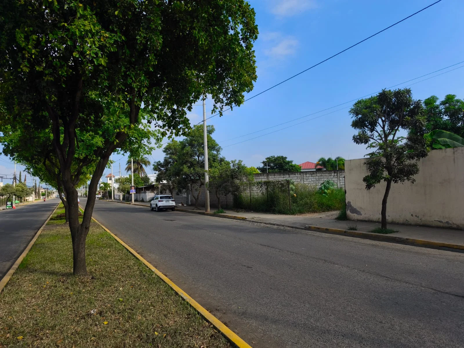 Imagen 18