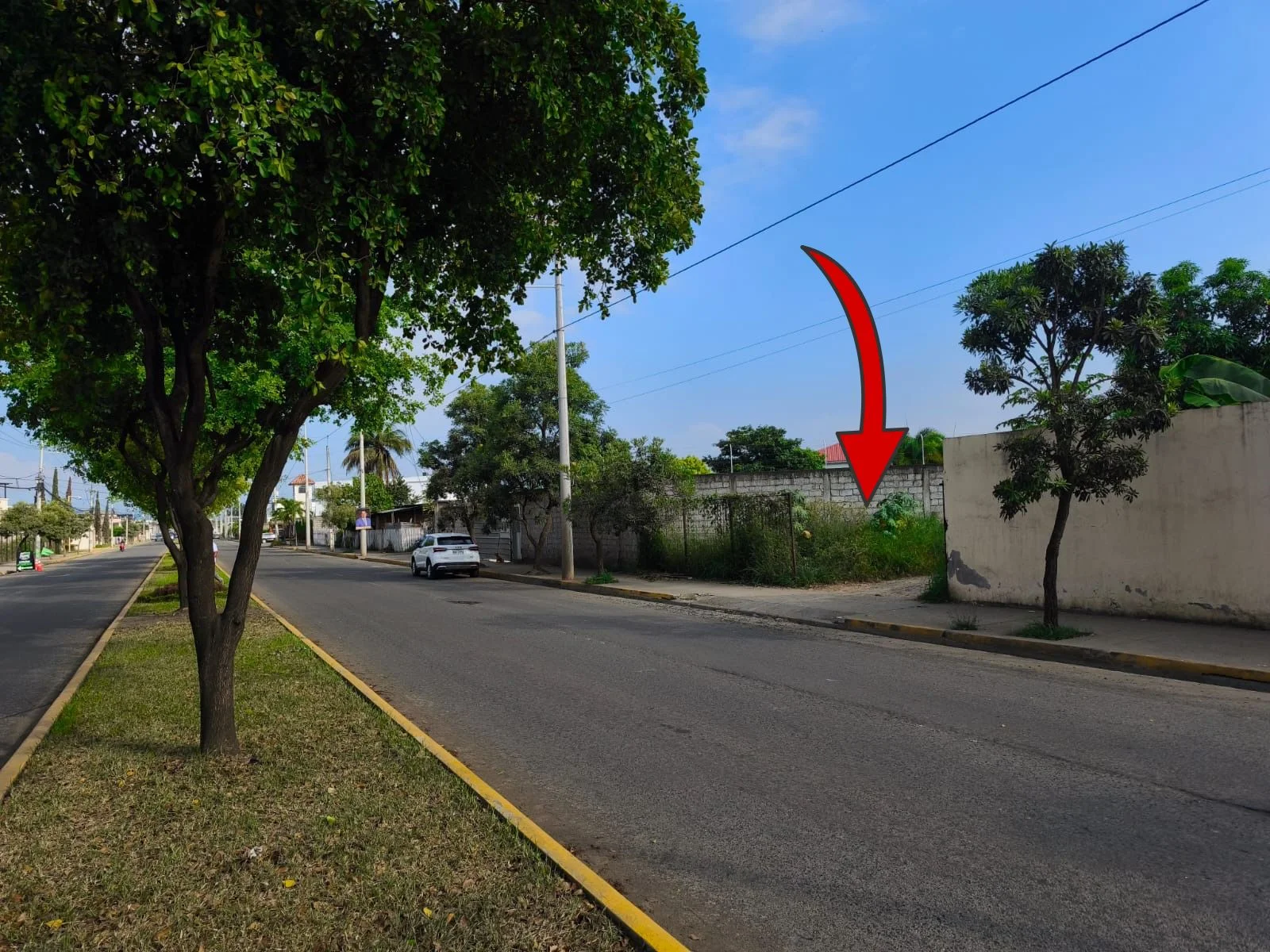 Imagen 7