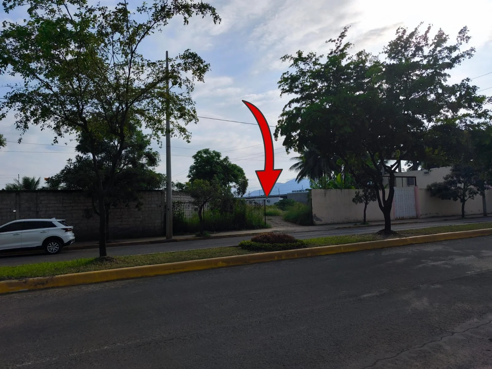Imagen 11