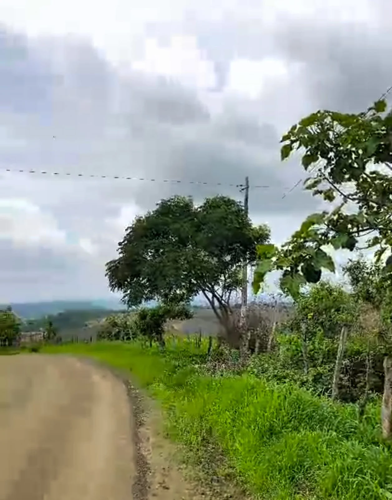 Vista 2